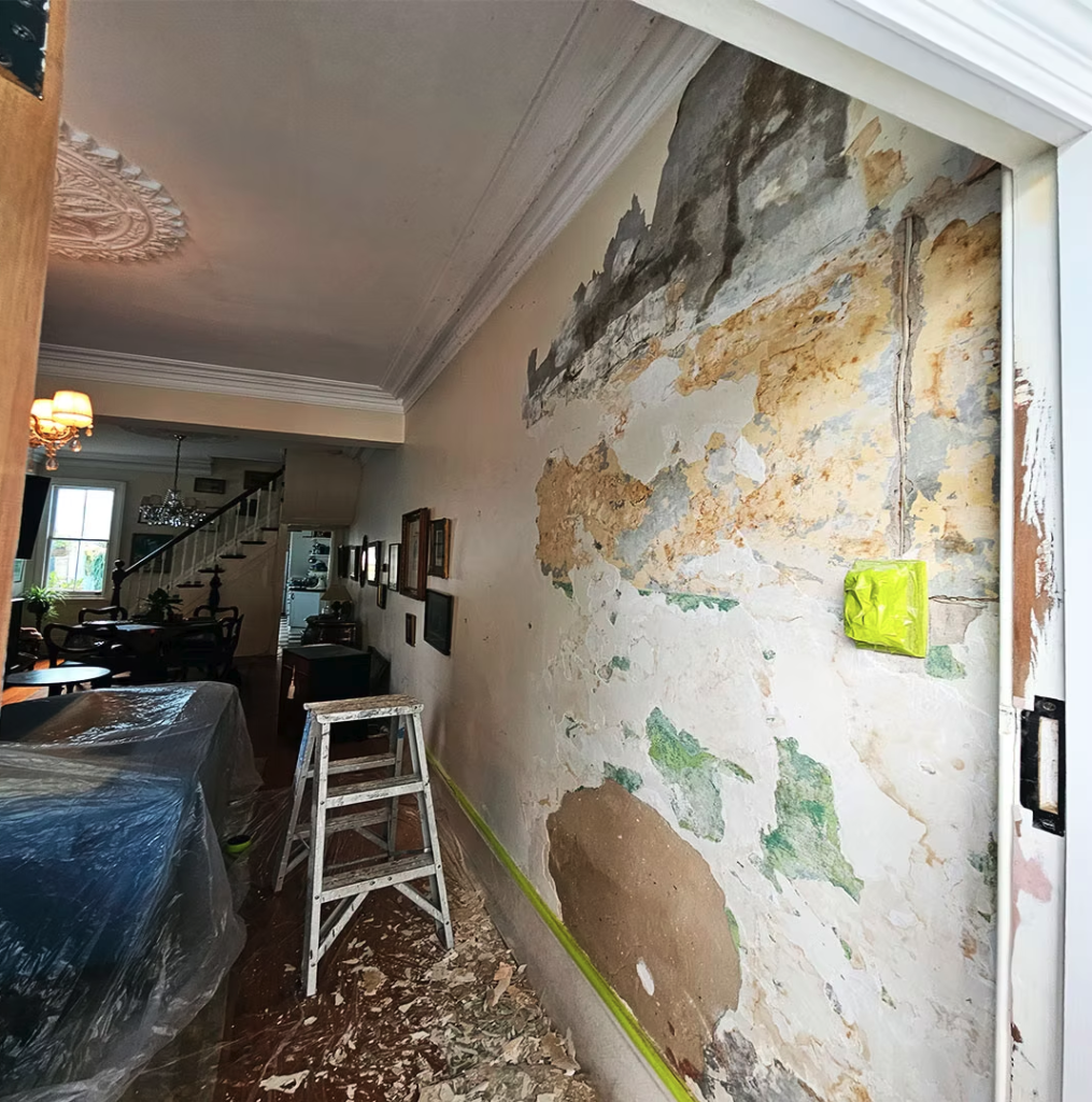 Painting project in Forest Lodge – before