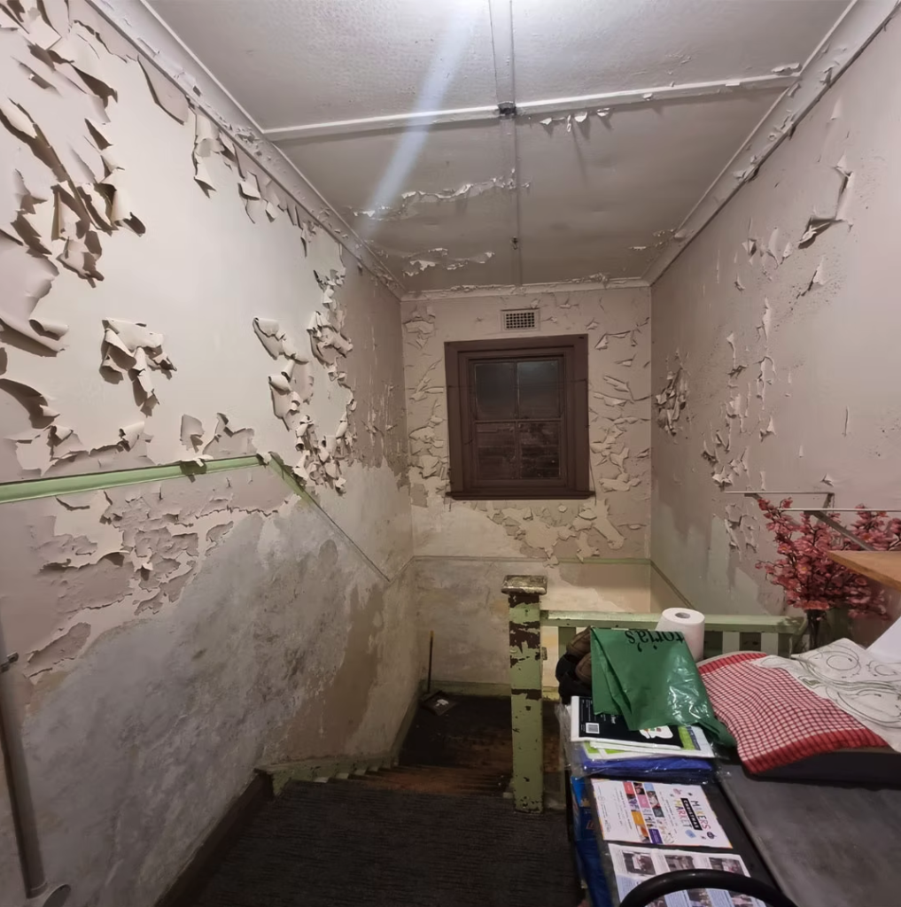 Painting project in Marrickville – before