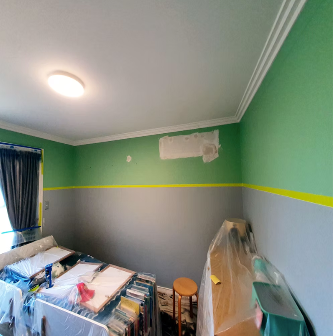 Painting project in Pennant Hills – before